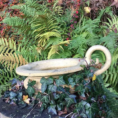 Landsted Art Gallery Dyk *