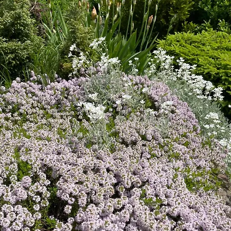 Art Gallery Dyk Landsted